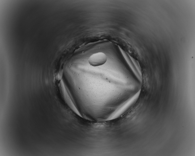 X0000093120574200710101042