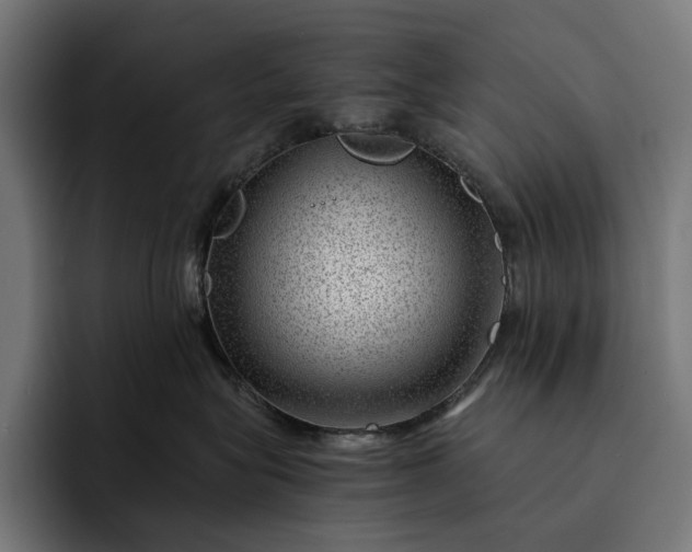 X0000093120575200710101042