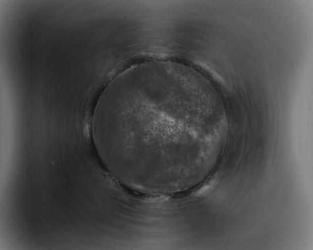 X0000093120576200710101042