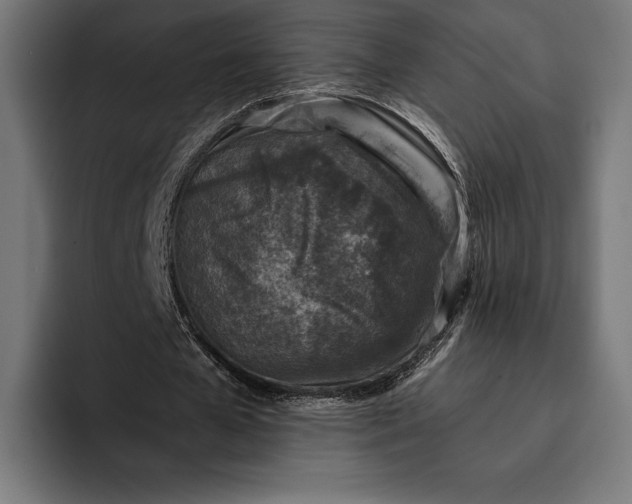 X0000093120577200710101042