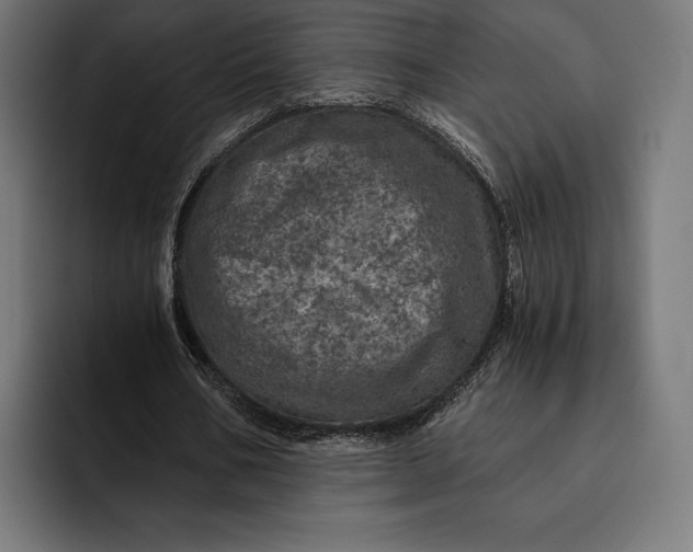 X0000093120578200710101042