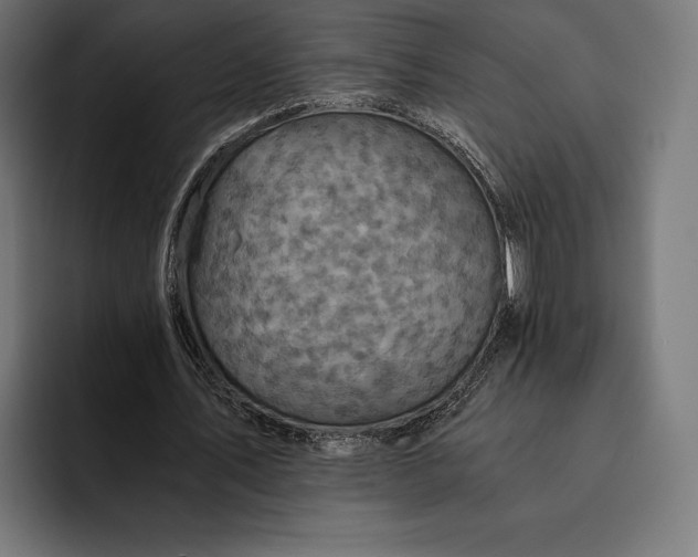 X0000093120579200710101042