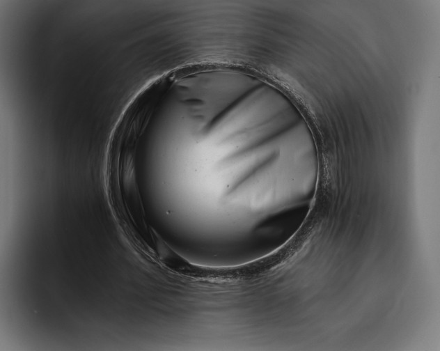 X0000093120580200710101042