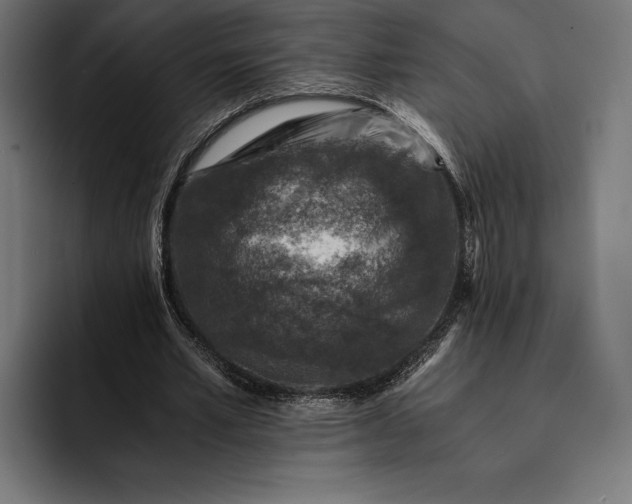 X0000093120581200710101042