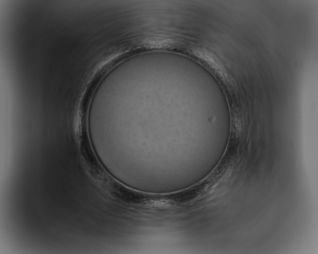 X0000093120583200710101042