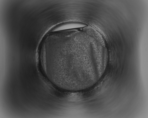 X0000093120584200710101042