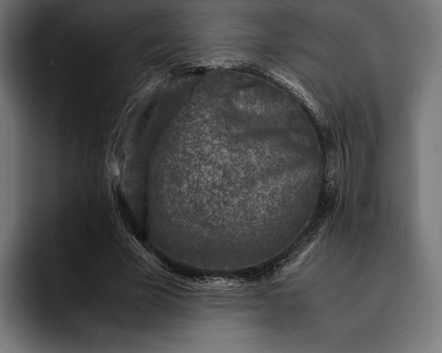 X0000093120585200710101042