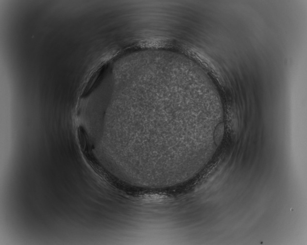 X0000093120586200710101042