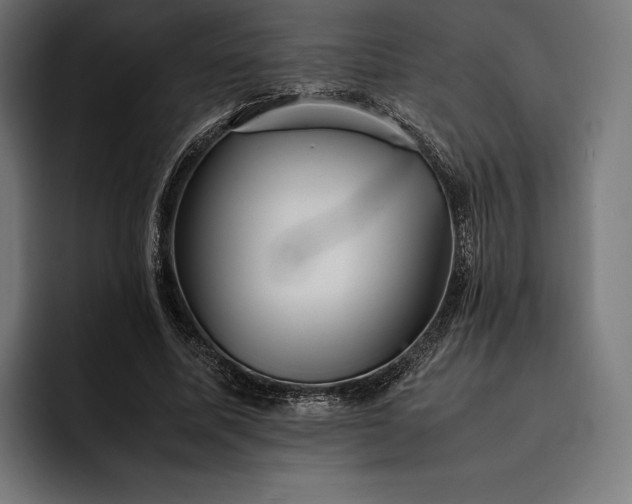 X0000093120587200710101042