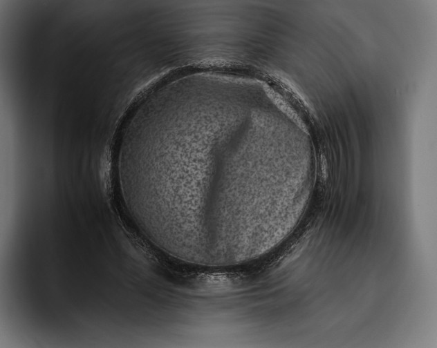 X0000093120588200710101042