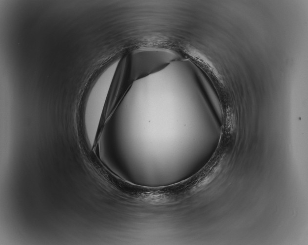 X0000093120589200710101042