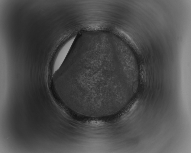 X0000093120590200710101042