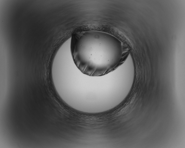 X0000093120593200710101041