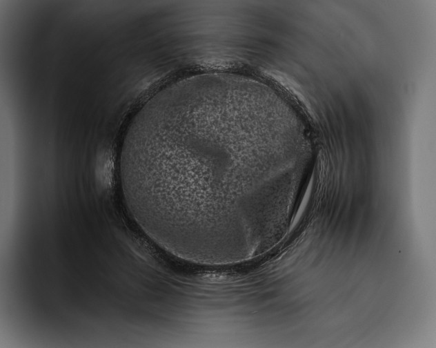 X0000093120596200710101041