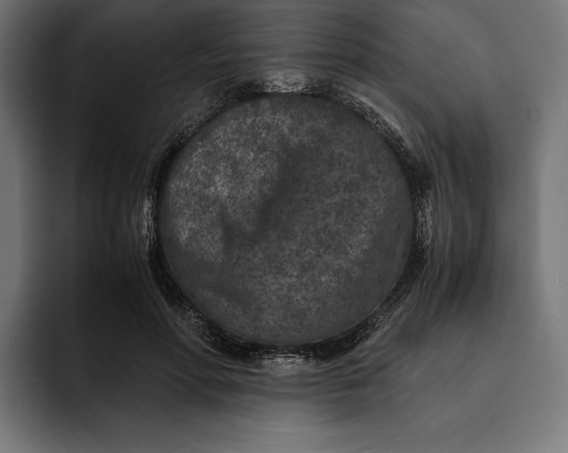 X0000093120598200710101041