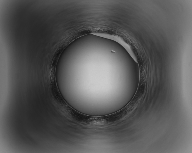 X0000093120601200710101041