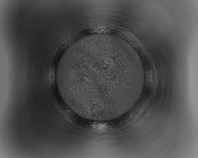 X0000093120602200710101041