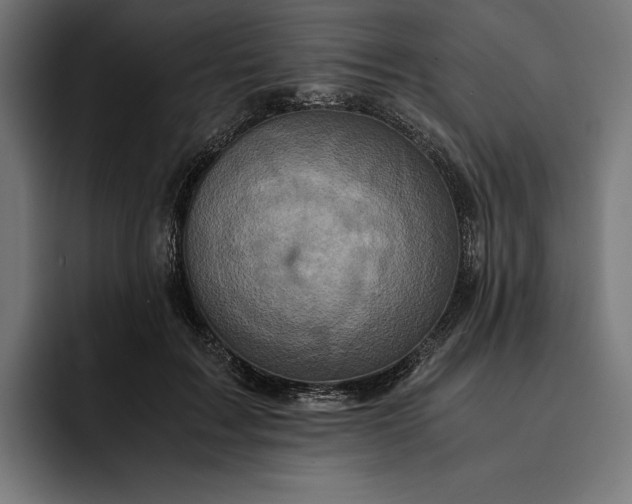 X0000093120603200710101041