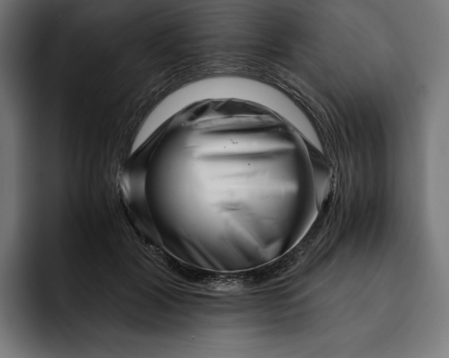 X0000093120604200710101041