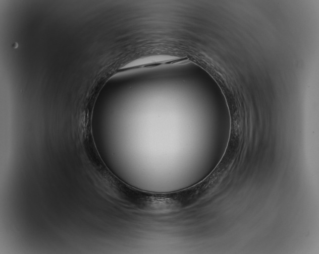 X0000093120605200710101041