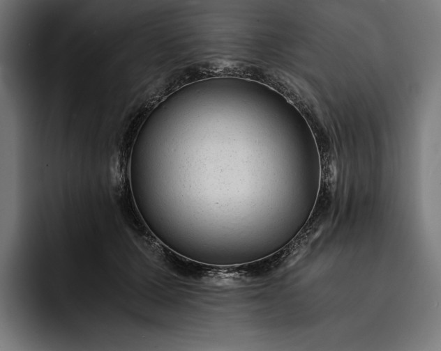 X0000093120607200710101041