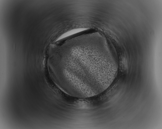 X0000093120608200710101041