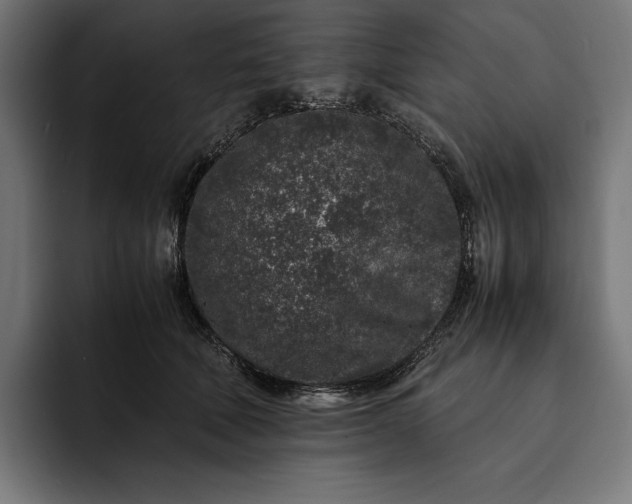 X0000093120610200710101041