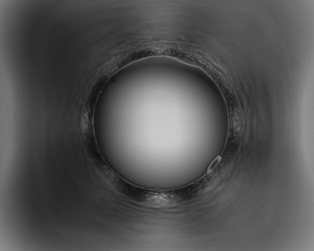 X0000093120611200710101041