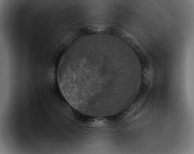 X0000093120612200710101041