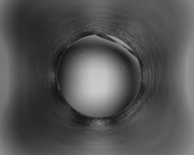 X0000093120613200710101041