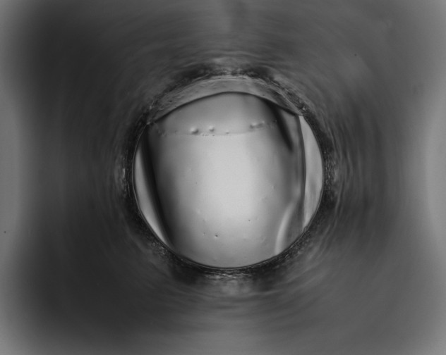 X0000093120615200710101041