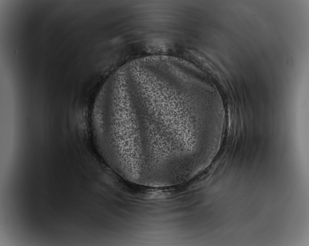 X0000093120616200710101041