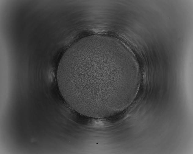 X0000093120618200710101041