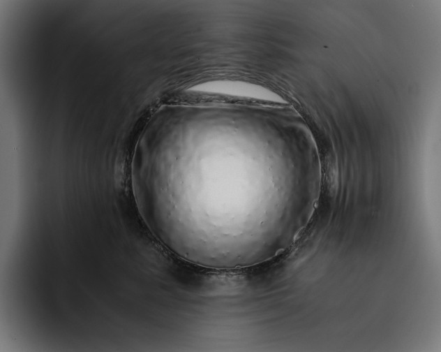 X0000093120619200710101041