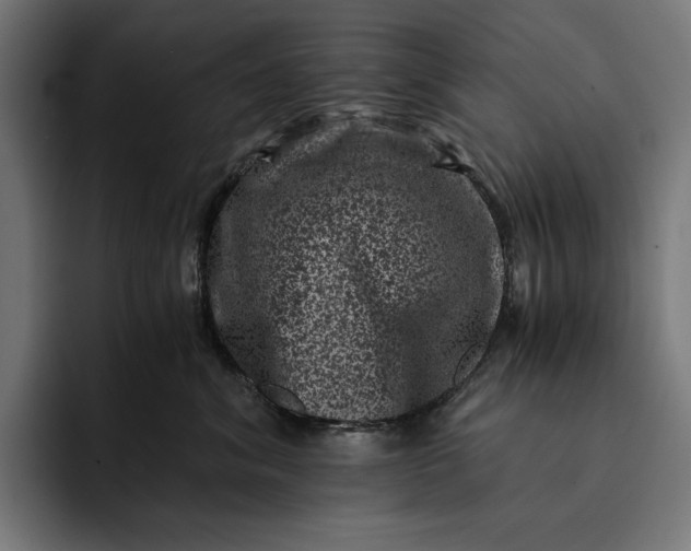 X0000093120620200710101041