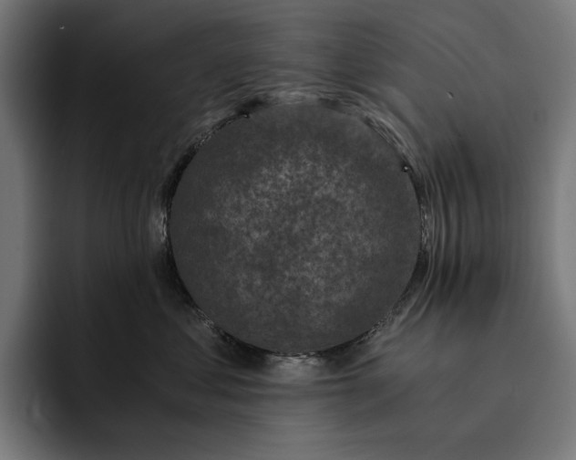 X0000093120621200710101041