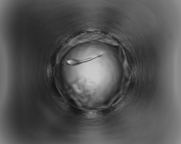 X0000093120623200710101041