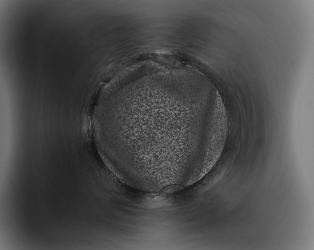 X0000093120624200710101041