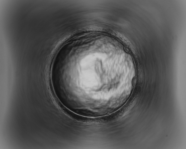 X0000093120625200710101041