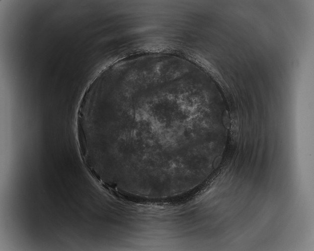 X0000093120626200710101041