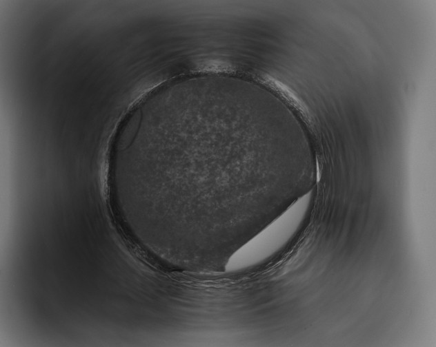 X0000093120627200710101041