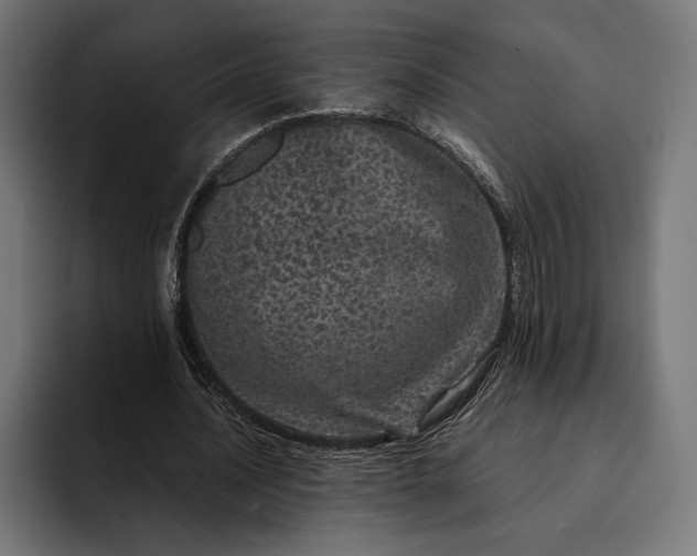 X0000093120628200710101041