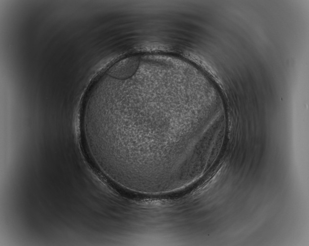 X0000093120629200710101041