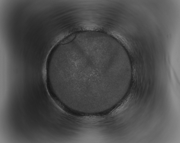 X0000093120630200710101041