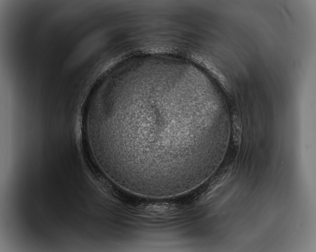 X0000093120631200710101041