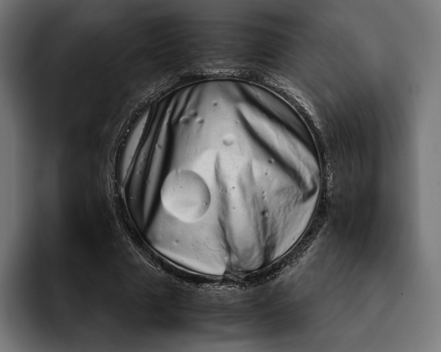 X0000093120633200710101041