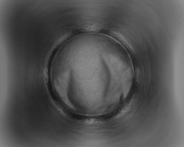 X0000093120634200710101041