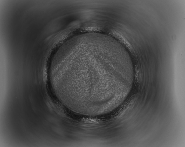 X0000093120635200710101041