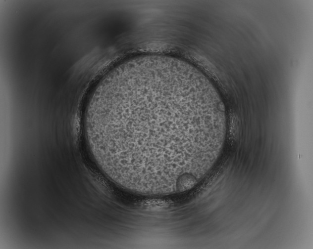 X0000093120636200710101041