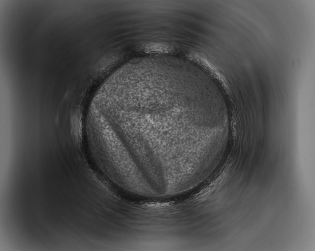 X0000093120637200710101041